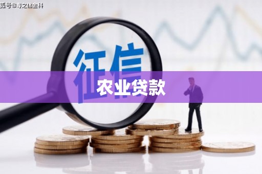 美溪农业贷款