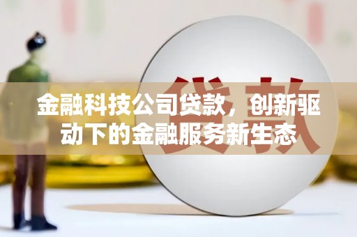 美溪金融科技公司贷款，创新驱动下的金融服务新生态