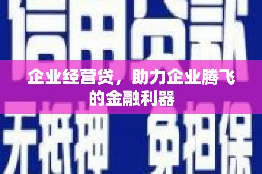 美溪企业经营贷，助力企业腾飞的金融利器