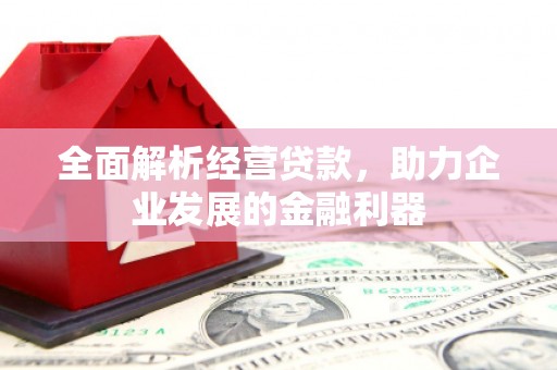 美溪全面解析经营贷款，助力企业发展的金融利器