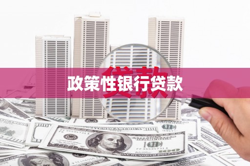 美溪政策性银行贷款