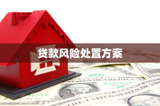 美溪贷款风险处置方案