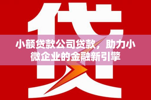 美溪小额贷款公司贷款，助力小微企业的金融新引擎