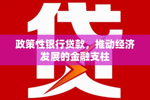 美溪政策性银行贷款，推动经济发展的金融支柱