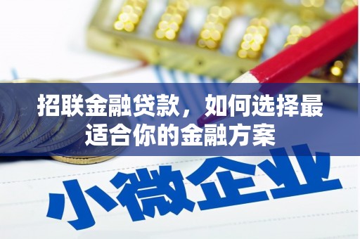 美溪招联金融贷款，如何选择最适合你的金融方案