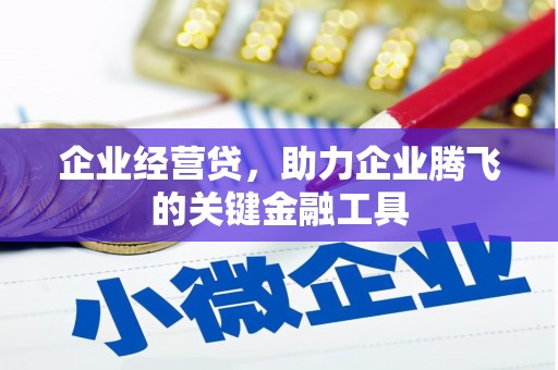 美溪企业经营贷，助力企业腾飞的关键金融工具