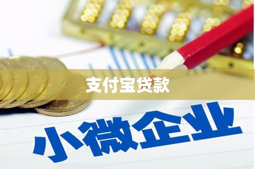 美溪支付宝贷款