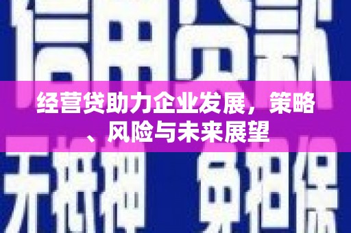 美溪经营贷助力企业发展，策略、风险与未来展望