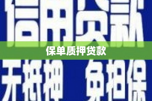 美溪保单质押贷款