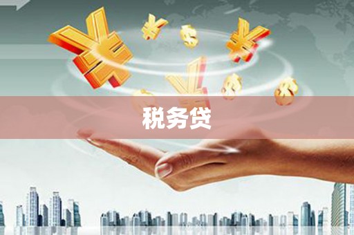 美溪税务贷
