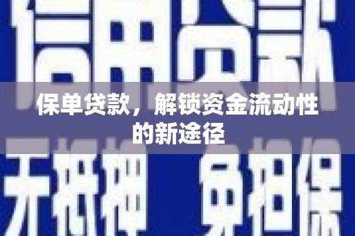 美溪保单贷款，解锁资金流动性的新途径