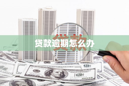 美溪贷款逾期怎么办