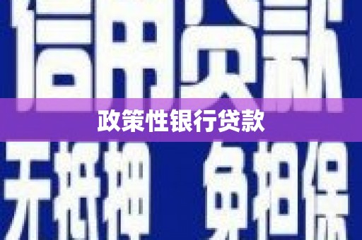 美溪政策性银行贷款