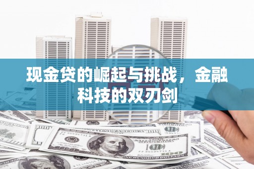 美溪现金贷的崛起与挑战，金融科技的双刃剑