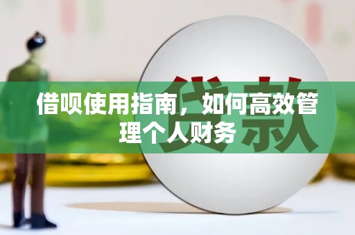 美溪借呗使用指南，如何高效管理个人财务