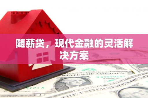 美溪随薪贷，现代金融的灵活解决方案