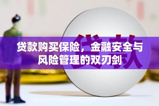 美溪贷款购买保险，金融安全与风险管理的双刃剑