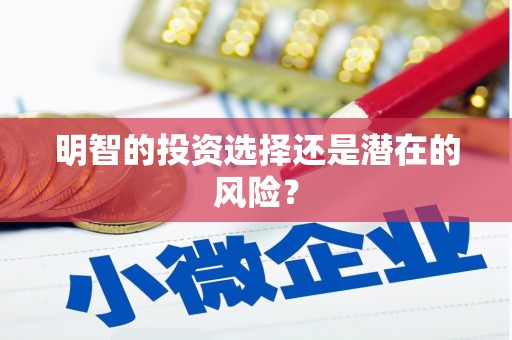 美溪明智的投资选择还是潜在的风险？