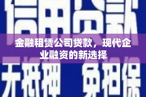 美溪金融租赁公司贷款，现代企业融资的新选择
