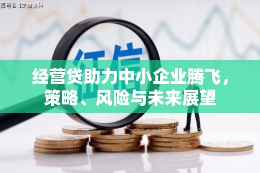美溪经营贷助力中小企业腾飞，策略、风险与未来展望