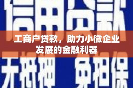 美溪工商户贷款，助力小微企业发展的金融利器