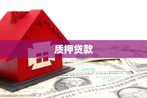 美溪质押贷款