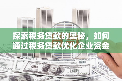 美溪探索税务贷款的奥秘，如何通过税务贷款优化企业资金流