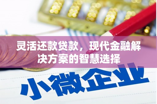 美溪灵活还款贷款，现代金融解决方案的智慧选择