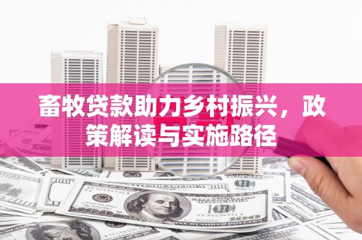 美溪畜牧贷款助力乡村振兴，政策解读与实施路径