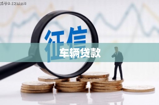 美溪车辆贷款