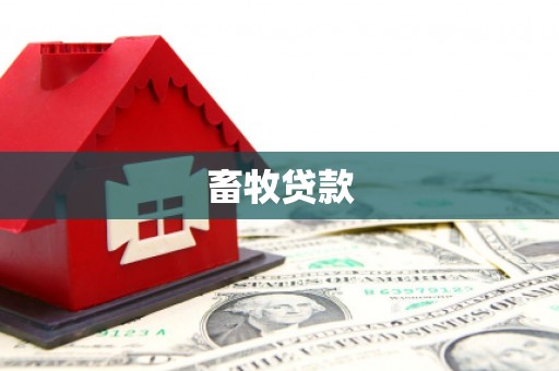 美溪畜牧贷款