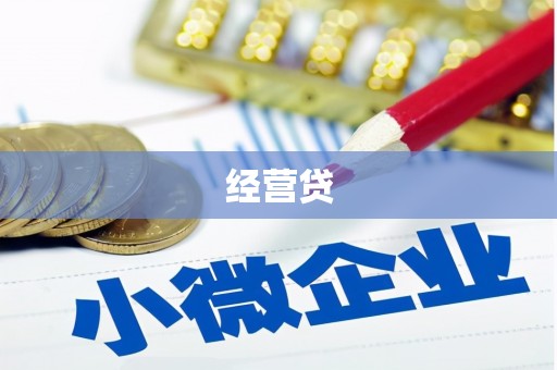 美溪经营贷