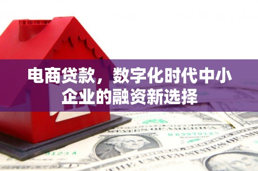 美溪电商贷款，数字化时代中小企业的融资新选择