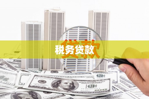 美溪税务贷款