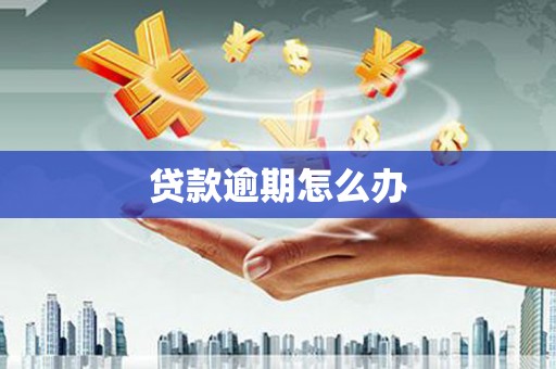 美溪贷款逾期怎么办
