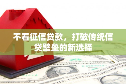 美溪不看征信贷款，打破传统信贷壁垒的新选择