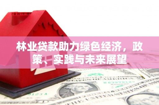 美溪林业贷款助力绿色经济，政策、实践与未来展望