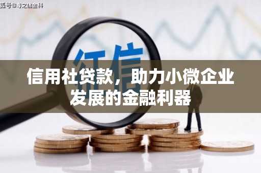 美溪信用社贷款，助力小微企业发展的金融利器