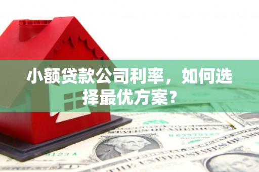 美溪小额贷款公司利率，如何选择最优方案？
