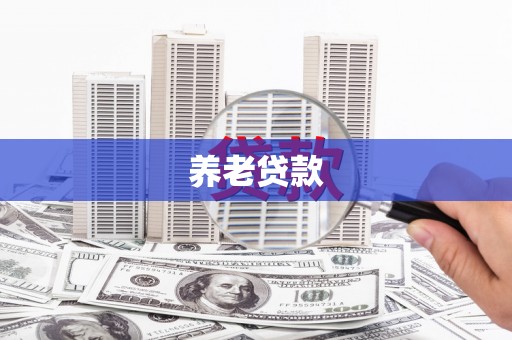美溪养老贷款
