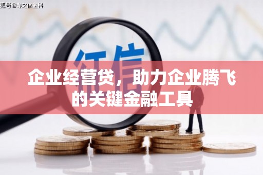 美溪企业经营贷，助力企业腾飞的关键金融工具