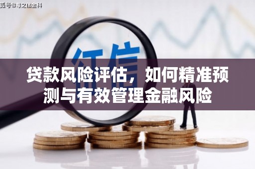 美溪贷款风险评估，如何精准预测与有效管理金融风险
