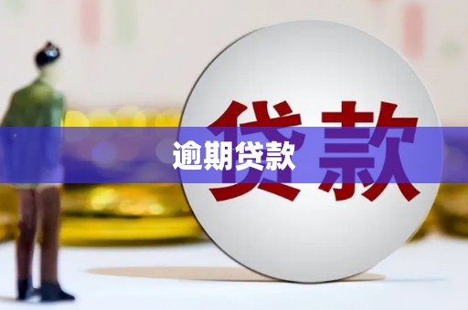 美溪逾期贷款