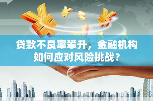 美溪贷款不良率攀升，金融机构如何应对风险挑战？