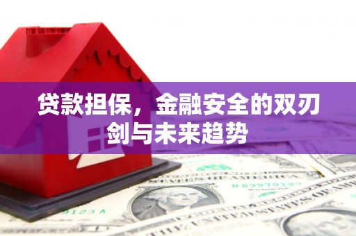 美溪贷款担保，金融安全的双刃剑与未来趋势