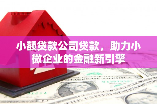 美溪小额贷款公司贷款，助力小微企业的金融新引擎