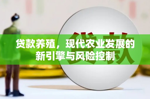 美溪贷款养殖，现代农业发展的新引擎与风险控制