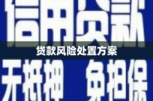 美溪贷款风险处置方案