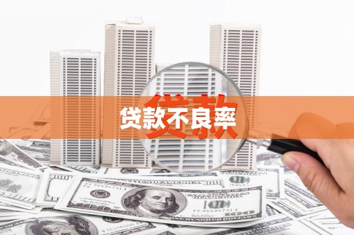 美溪贷款不良率
