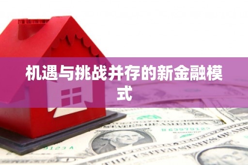 美溪机遇与挑战并存的新金融模式